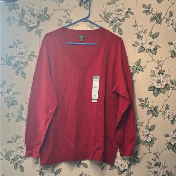 Terra & Sky Sweaters - 😻PLUS SIZE Terra & Sky Red V-Neck Women's Sweater